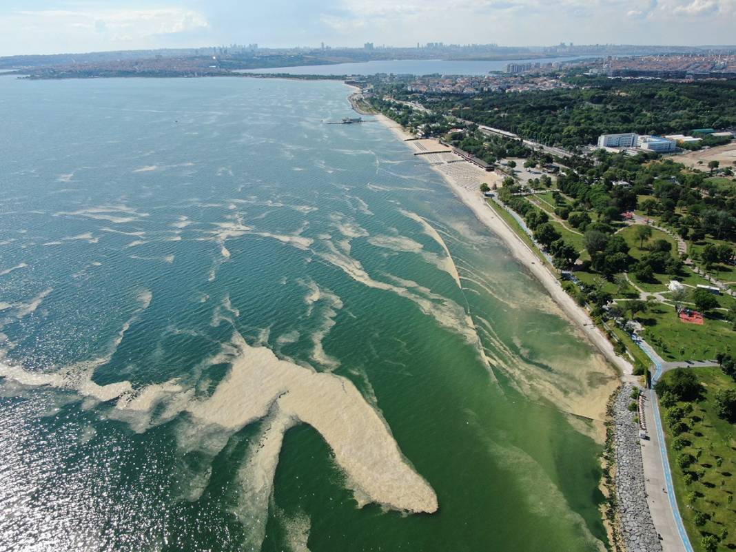 Marmara Deniz Salyas Etkisinde Bak Rk Y Deki G R Nt Ler Y Rek S Zlatt