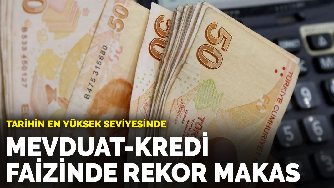 Mevduat Kredi Faizinde Rekor Makas Tarihin En Y Ksek Seviyesinde