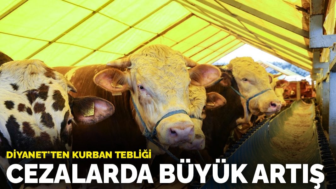 Bayramda kurban kesecekler dikkat Bunları yaparsanız yandınız Cezası