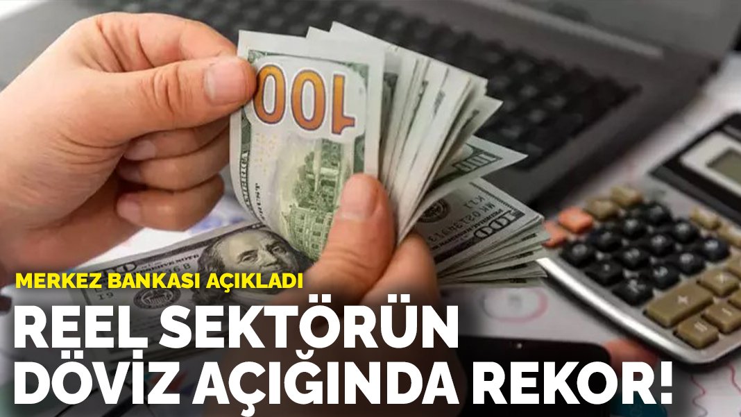 Merkez Bankası açıkladı Reel sektörün döviz açığında rekor