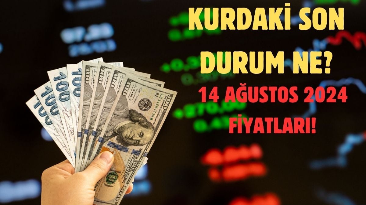 Dolar ve Euro da dalgalanma başladı 14 Ağustos Dolar ve Euro fiyatları