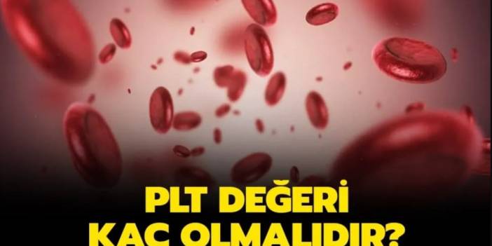 PLT Düşüklüğü Belirtileri Nedenleri ve Tedavi Yöntemleri