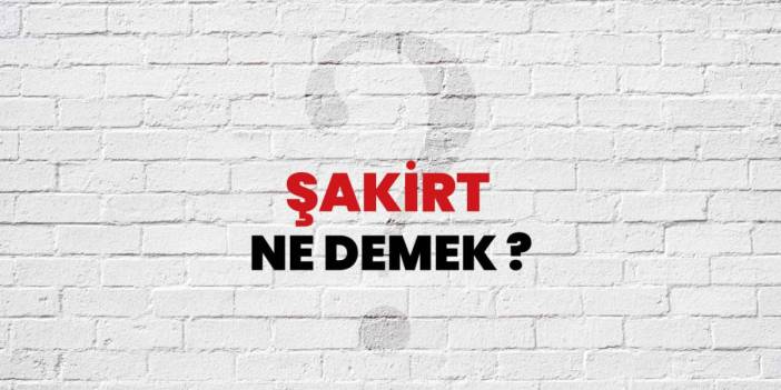 Şakirt Ne Demek Türkçede Kavram ve Anlamı