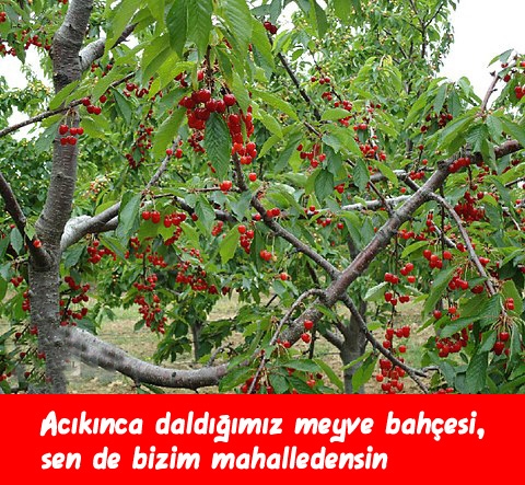 Mahallede büyüyenler... 27