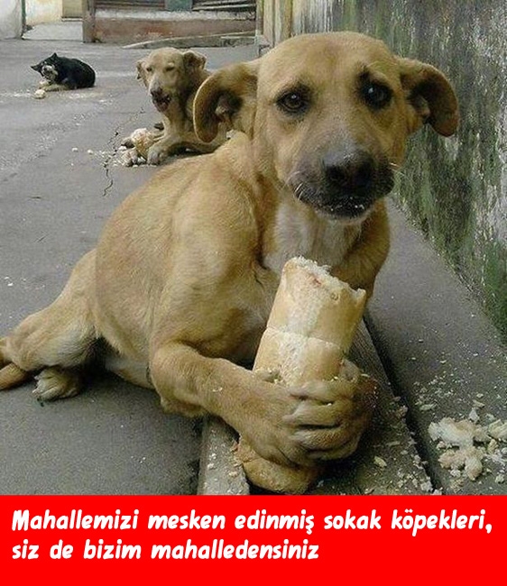 Mahallede büyüyenler... 30