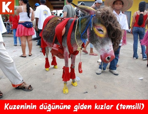 Komik eşekler 1