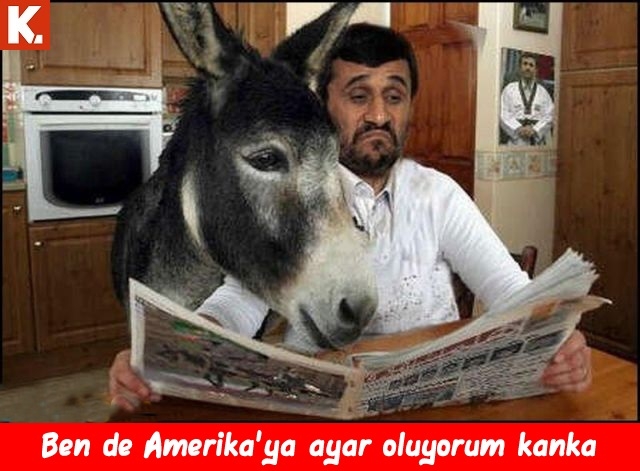 Komik eşekler 17