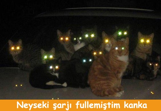 Elektrikler kesilince biz 12