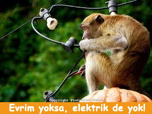 Elektrikler kesilince biz 15