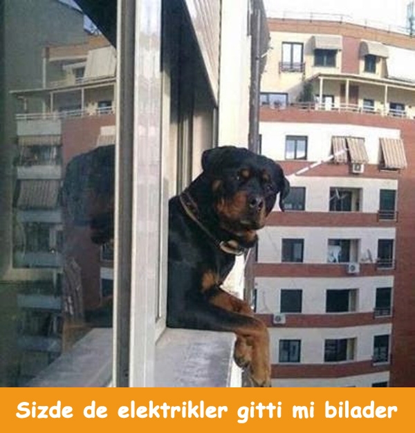 Elektrikler kesilince biz 18