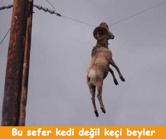 Elektrikler kesilince biz 29