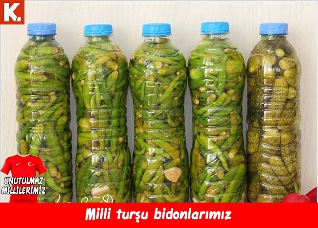 Unutulmaz millilerimiz 12