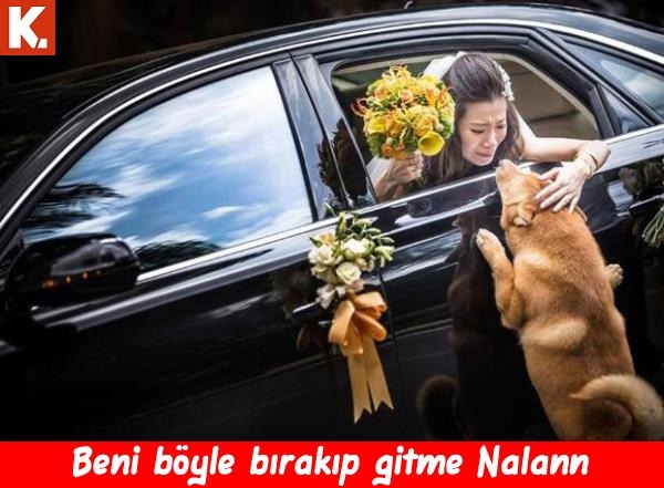 Boş durmaktan sıkılanlara 7