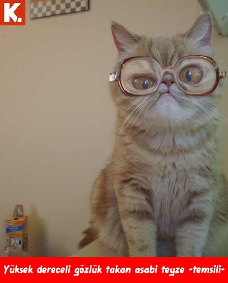 Boş durmaktan sıkılanlara 1