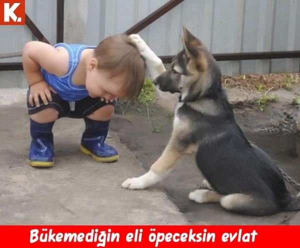 Boş durmaktan sıkılanlara 10