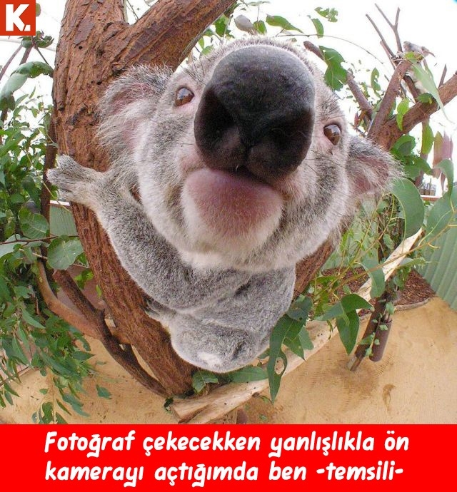 Boş durmaktan sıkılanlara 12