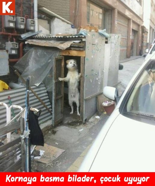 Boş durmaktan sıkılanlara 20