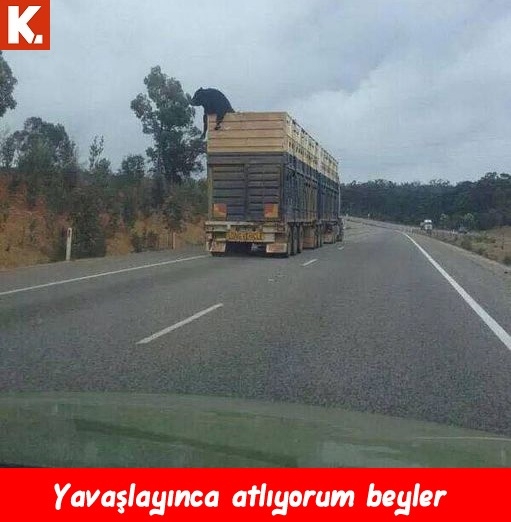 Boş durmaktan sıkılanlara 21