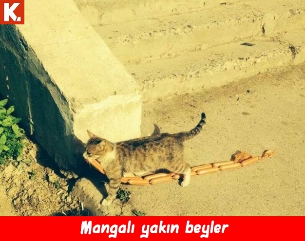 Boş durmaktan sıkılanlara 30