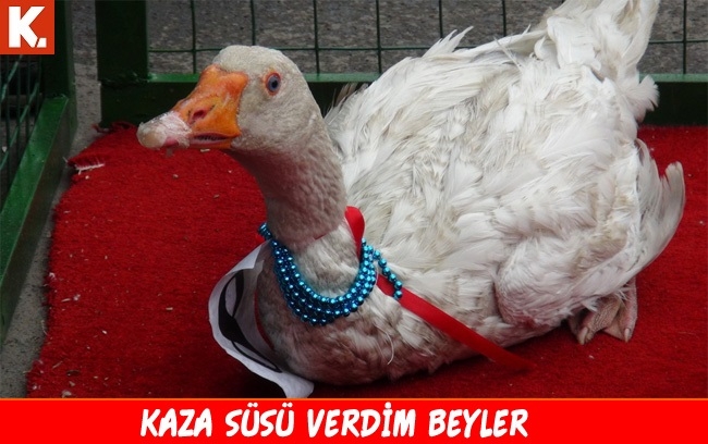 Soğuk espriler 4