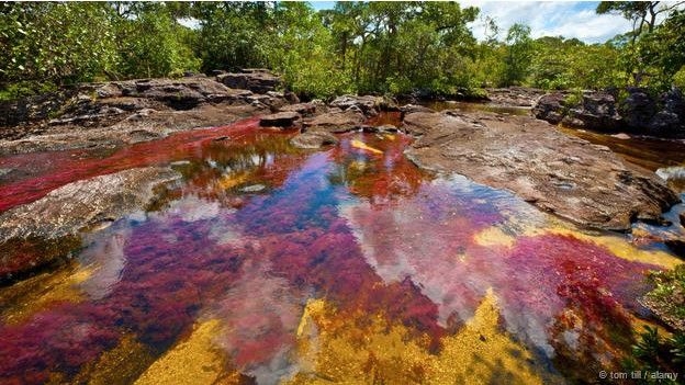Burada yüzmek yürek ister 4