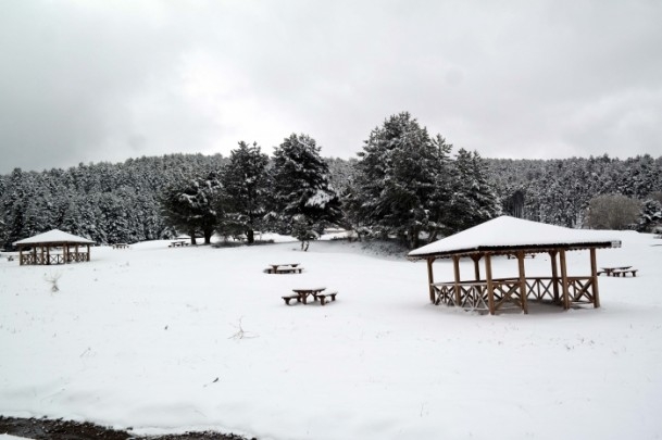 Nisan kapıdan baktırır... 1