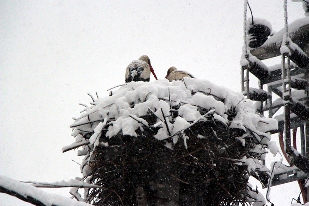 Nisan kapıdan baktırır... 27