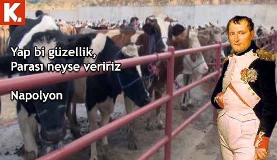 Ünlülerden şok sözler 22