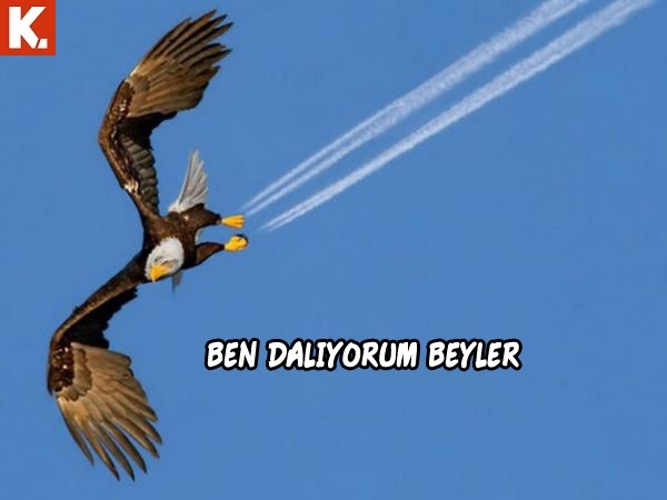 Gülmekten karın kası yaptıracak capsler 4