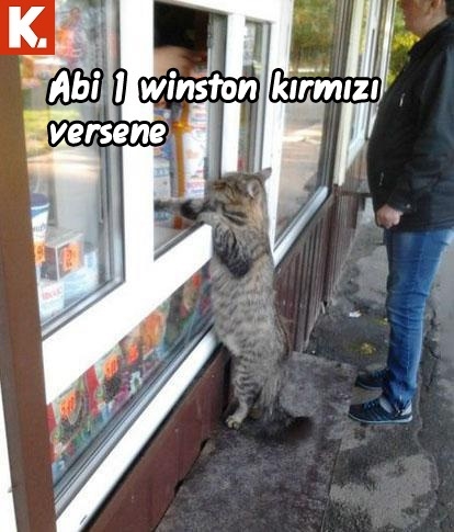 Gülmekten karın kası yaptıracak capsler 15