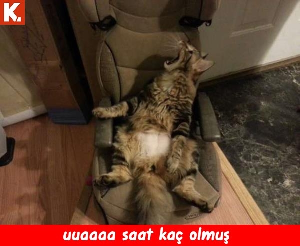 Gülmekten karın kası yaptıracak capsler 17