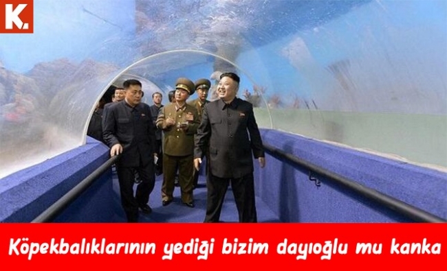 Gülmekten karın kası yaptıracak capsler 19