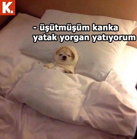 Gülmekten karın kası yaptıracak capsler 24