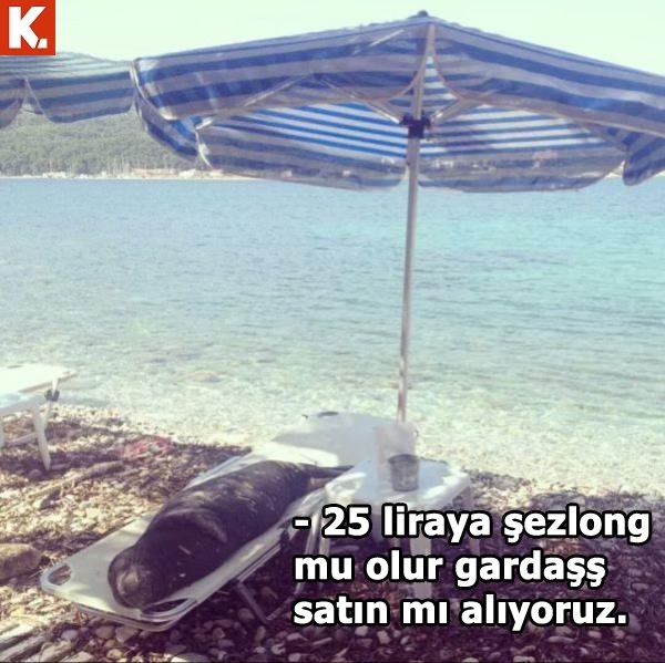 Gülmekten karın kası yaptıracak capsler 25