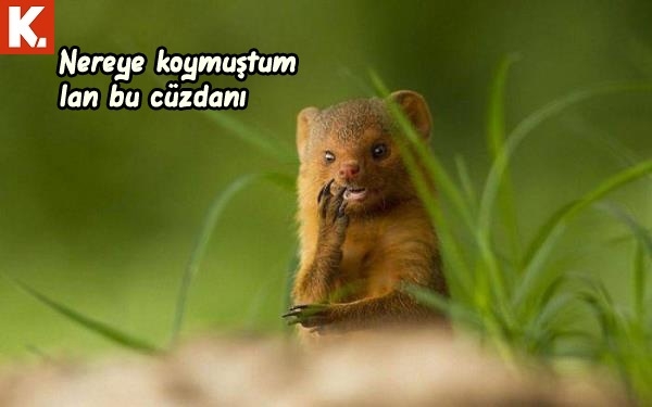 Gülmekten karın kası yaptıracak capsler 26