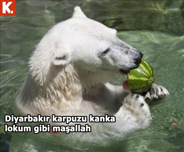 Gülmekten karın kası yaptıracak capsler 27