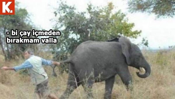 İş arası gülümsetecek capsler 2