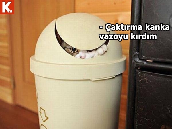 İş arası gülümsetecek capsler 7