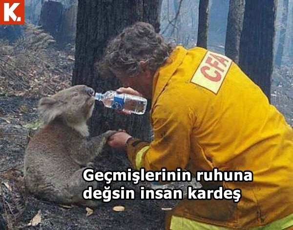 İş arası gülümsetecek capsler 17