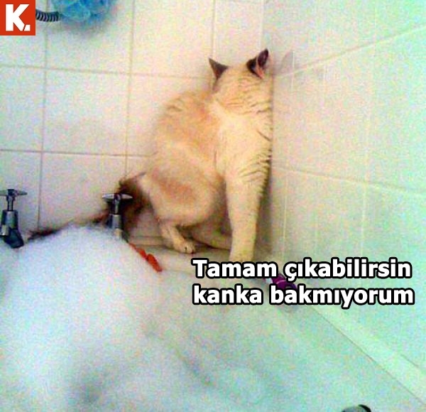 İş arası gülümsetecek capsler 19