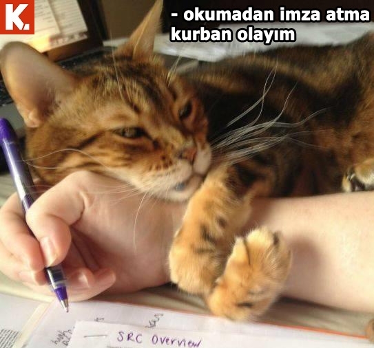 İş arası gülümsetecek capsler 22