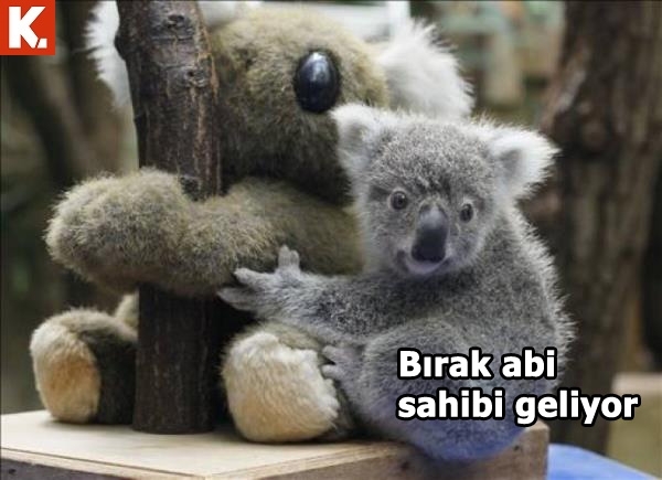 İş arası gülümsetecek capsler 23