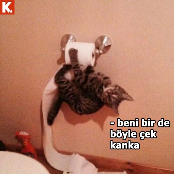 İş arası gülümsetecek capsler 1