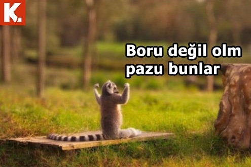 İş arası gülümsetecek capsler 28