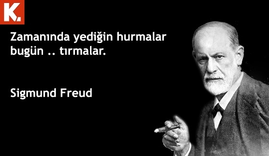 Ünlüler olsa ne derdi? 23