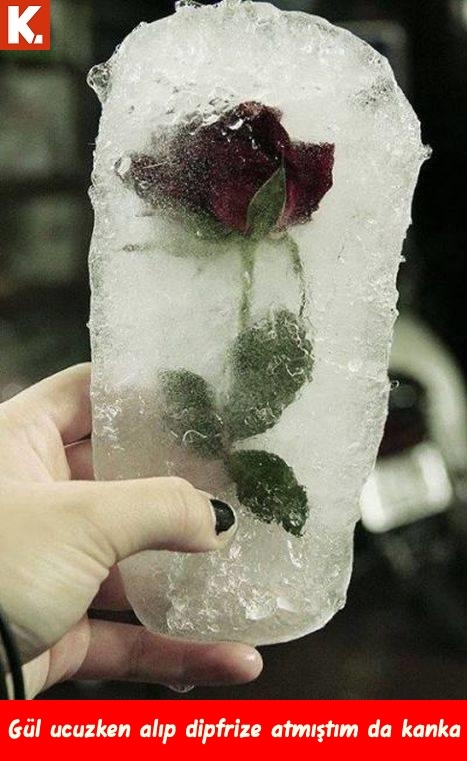 Kadraja giren komik anlar 9