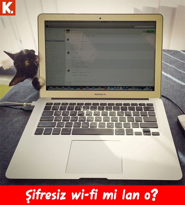 Kadraja giren komik anlar 17