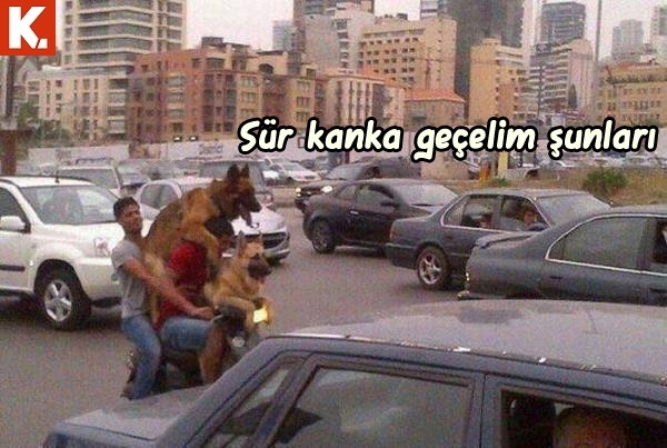 Kadraja giren komik anlar 23