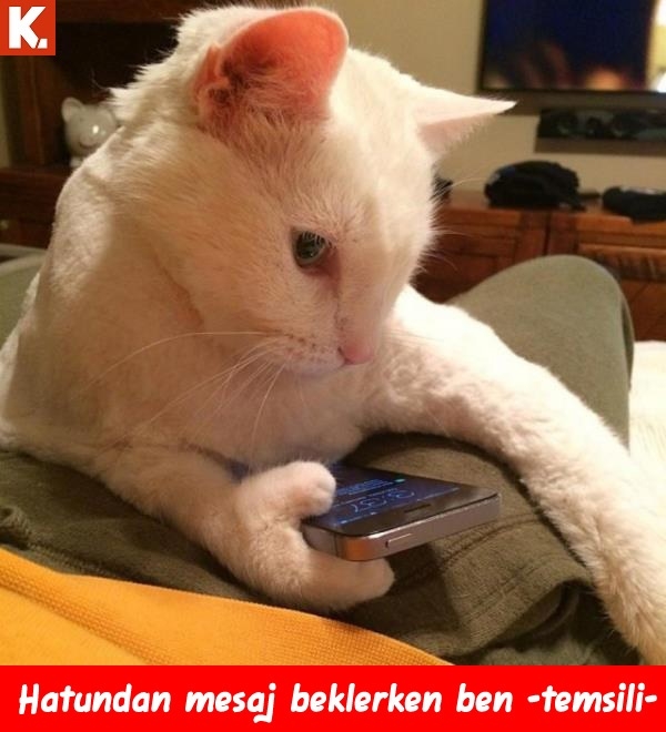 Kadraja giren komik anlar 6