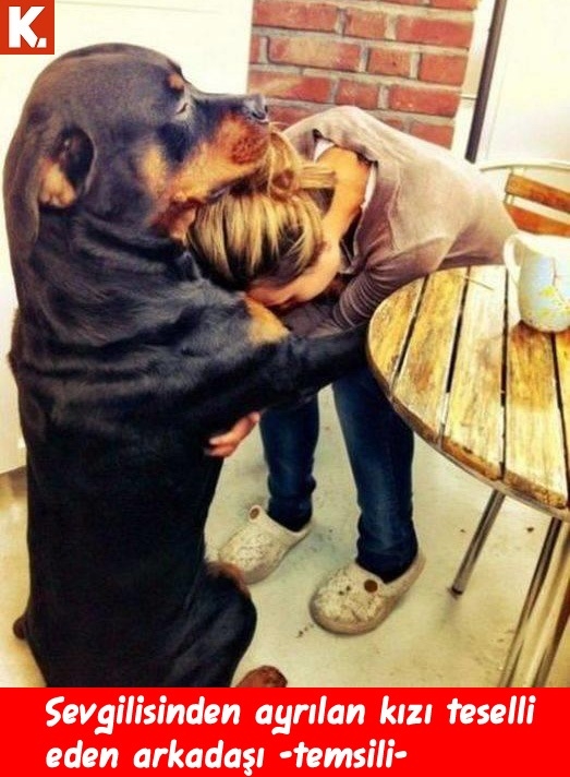 Kadraja giren komik anlar 28